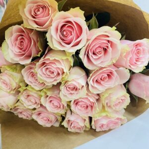 20 rosas rosa/blanca