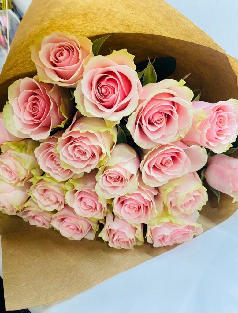 20 rosas rosa/blanca