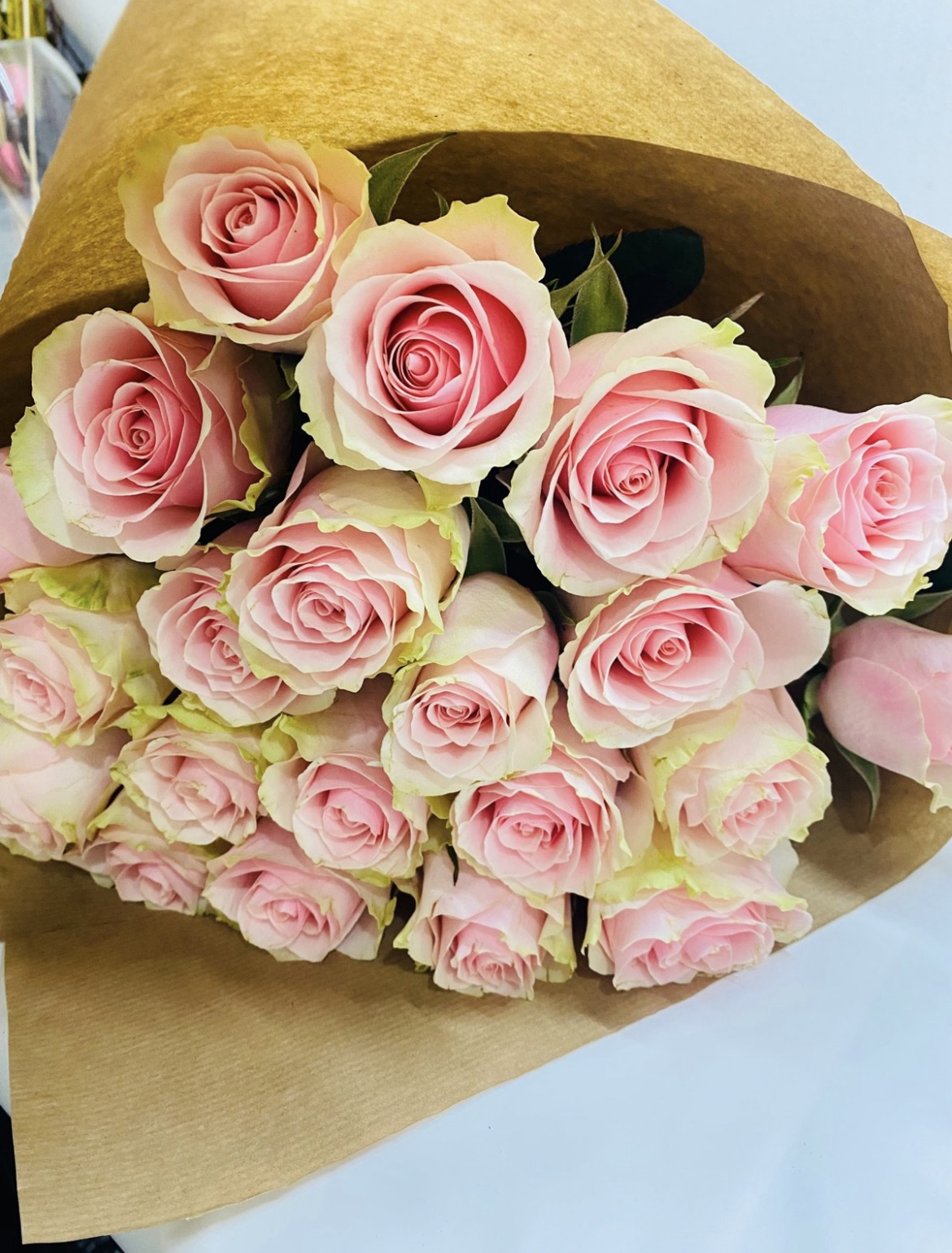 20 rosas rosa/blanca: imagen 1