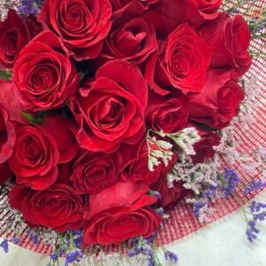 20 Rosas elegir color