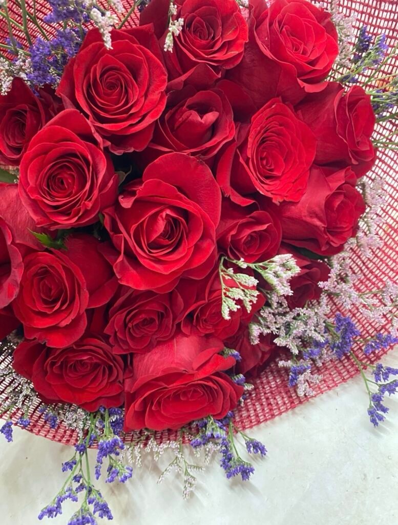 20 Rosas elegir color